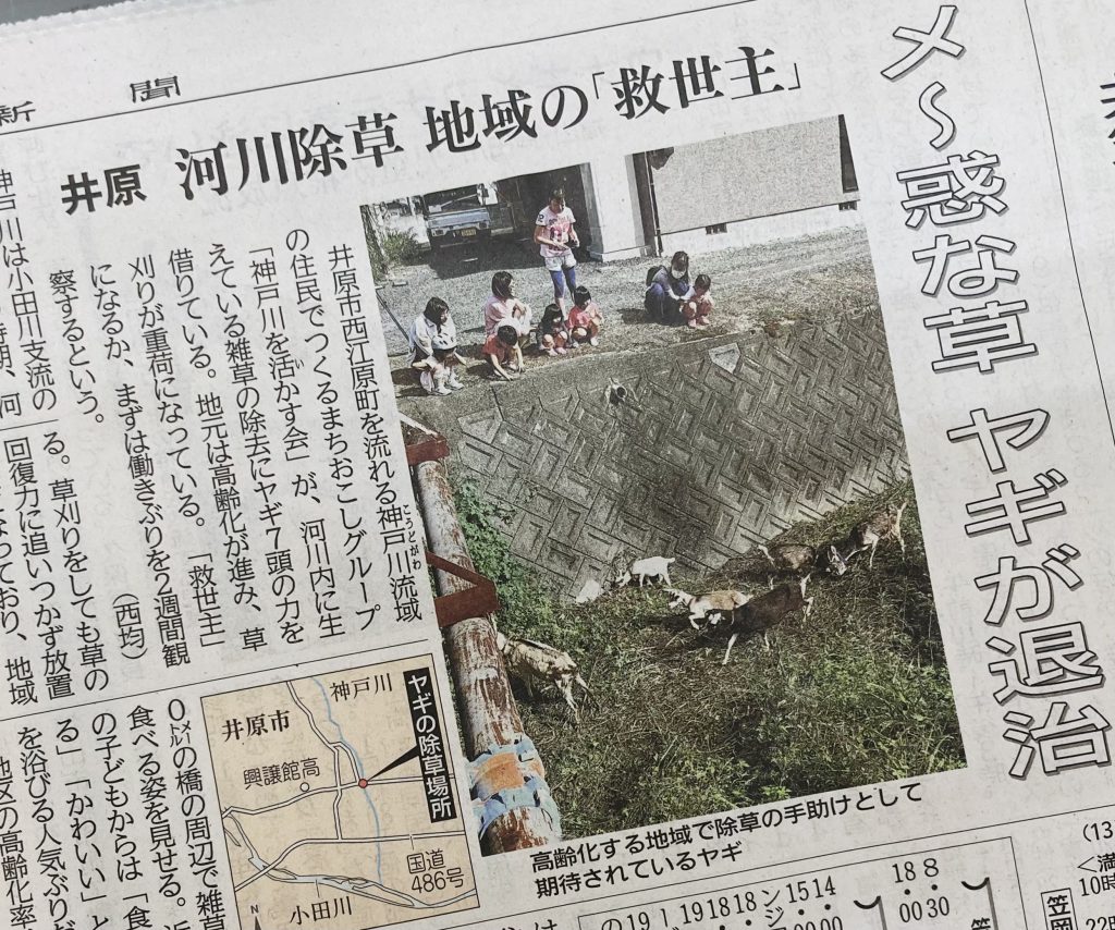 ヤギさんで草刈り！